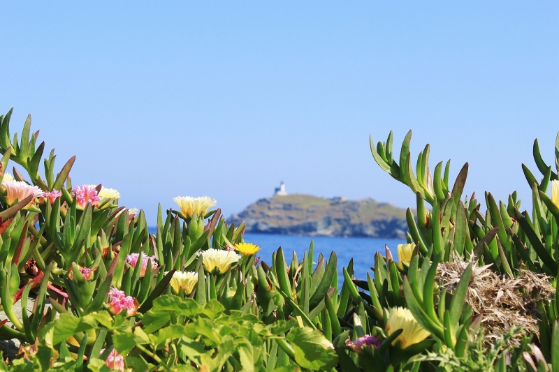 TOUR CORSICA ISOLA BELLA 8 GIORNI